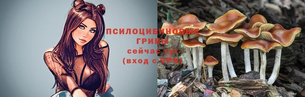 шишки Абинск