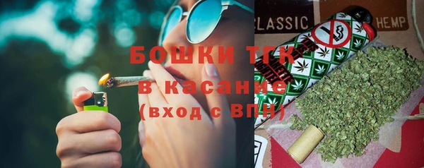 шишки Абинск