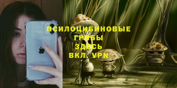 амф Алексин